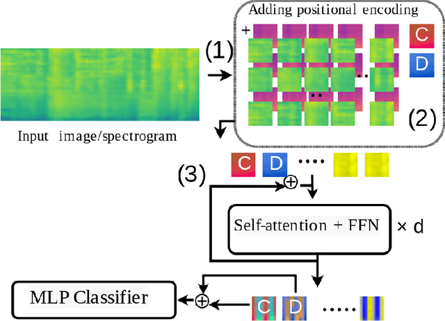 Figure 1 for Learning General Audio Representations with Large-Scale Training of Patchout Audio Transformers