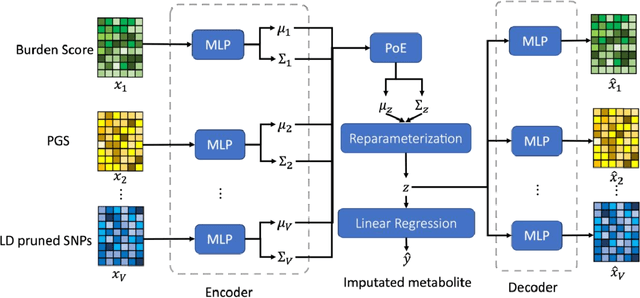 Figure 1 for Multi-View Variational Autoencoder for Missing Value Imputation in Untargeted Metabolomics