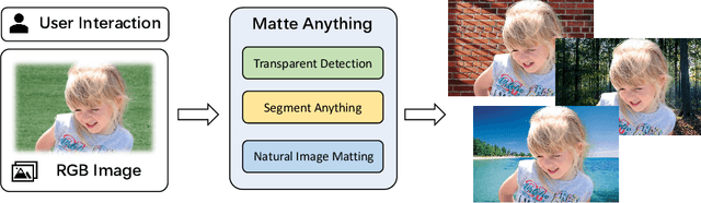 Figure 1 for Matte Anything: Interactive Natural Image Matting with Segment Anything Models