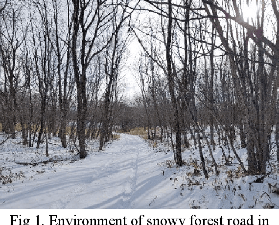 Figure 1 for Road Detection in Snowy Forest Environment using RGB Camera