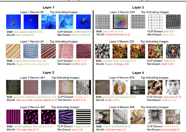 Figure 1 for Describe-and-Dissect: Interpreting Neurons in Vision Networks with Language Models