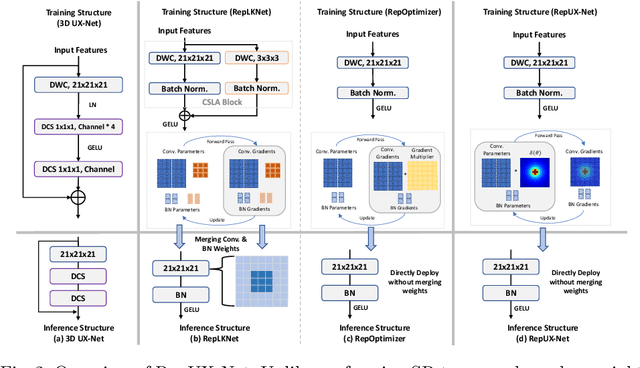 Figure 3 for Scaling Up 3D Kernels with Bayesian Frequency Re-parameterization for Medical Image Segmentation