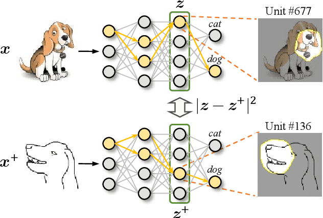 Figure 1 for Generalization Beyond Feature Alignment: Concept Activation-Guided Contrastive Learning