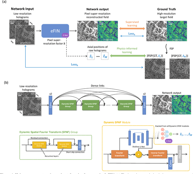 Figure 1 for eFIN: Enhanced Fourier Imager Network for generalizable autofocusing and pixel super-resolution in holographic imaging