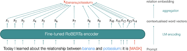 Figure 2 for RelBERT: Embedding Relations with Language Models