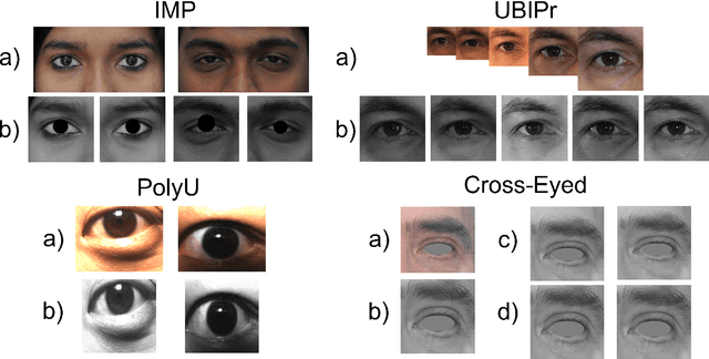 Figure 1 for One-Shot Learning for Periocular Recognition: Exploring the Effect of Domain Adaptation and Data Bias on Deep Representations