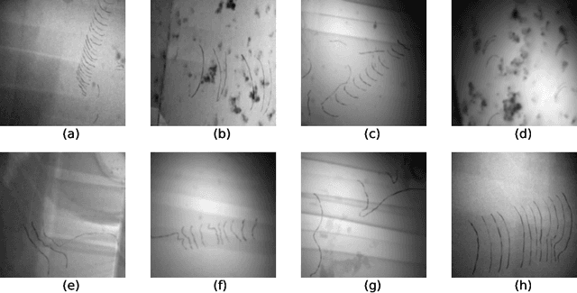 Figure 4 for Deep Learning of Crystalline Defects from TEM images: A Solution for the Problem of "Never Enough Training Data"