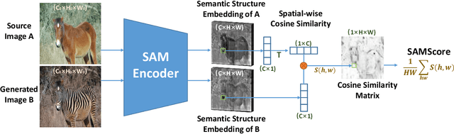 Figure 1 for SAMScore: A Semantic Structural Similarity Metric for Image Translation Evaluation