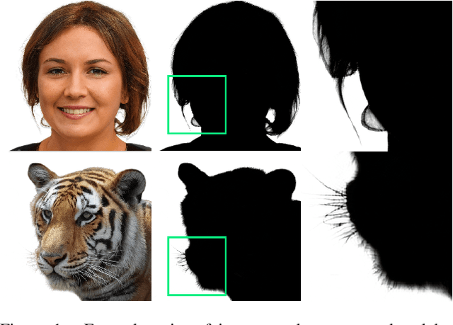 Figure 1 for Adversarially-Guided Portrait Matting