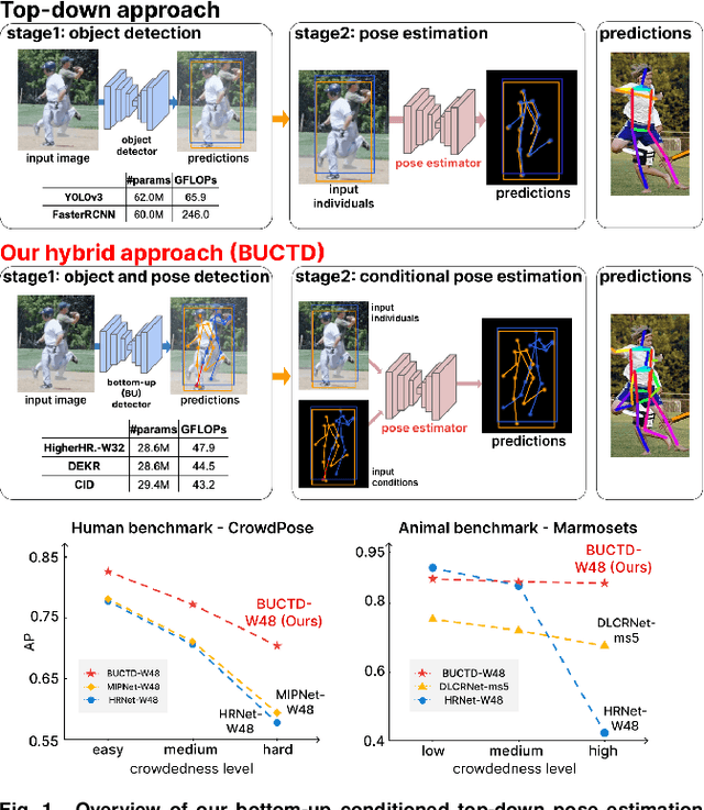 Figure 1 for Rethinking pose estimation in crowds: overcoming the detection information-bottleneck and ambiguity