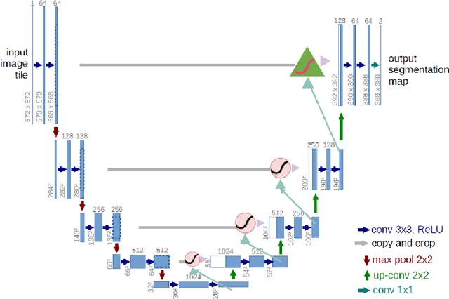 Figure 3 for FAU-Net: An Attention U-Net Extension with Feature Pyramid Attention for Prostate Cancer Segmentation