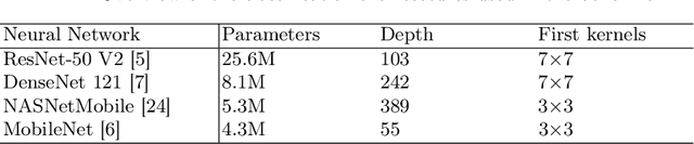 Figure 2 for Effective black box adversarial attack with handcrafted kernels