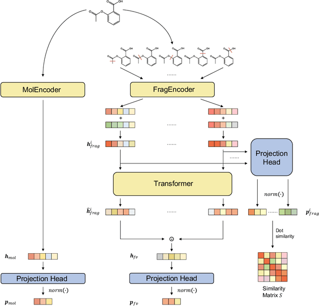 Figure 3 for Molecular Property Prediction by Semantic-invariant Contrastive Learning