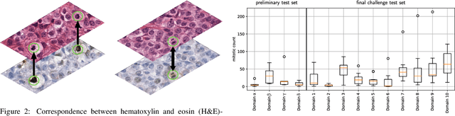 Figure 3 for Domain generalization across tumor types, laboratories, and species -- insights from the 2022 edition of the Mitosis Domain Generalization Challenge