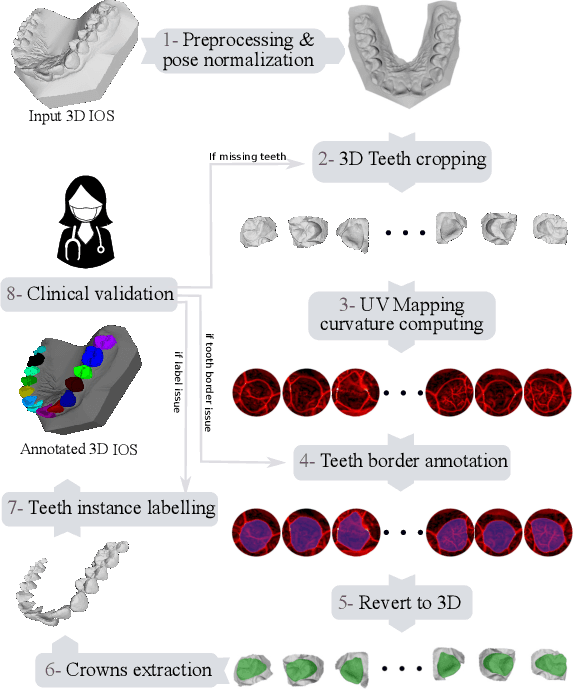 Figure 1 for 3DTeethSeg'22: 3D Teeth Scan Segmentation and Labeling Challenge