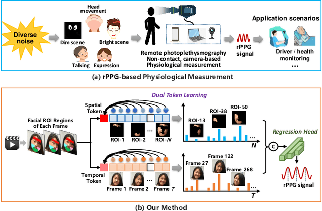 Figure 1 for Dual-path TokenLearner for Remote Photoplethysmography-based Physiological Measurement with Facial Videos