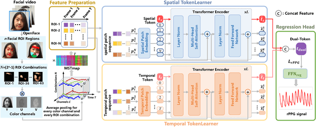 Figure 2 for Dual-path TokenLearner for Remote Photoplethysmography-based Physiological Measurement with Facial Videos