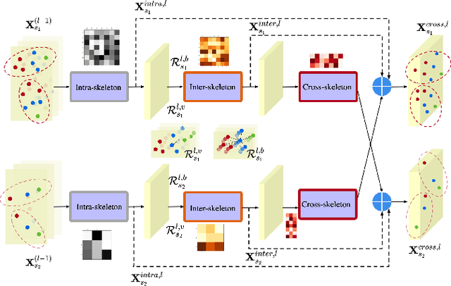 Figure 2 for Cross-Skeleton Interaction Graph Aggregation Network for Representation Learning of Mouse Social Behaviour