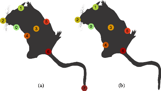 Figure 4 for Cross-Skeleton Interaction Graph Aggregation Network for Representation Learning of Mouse Social Behaviour
