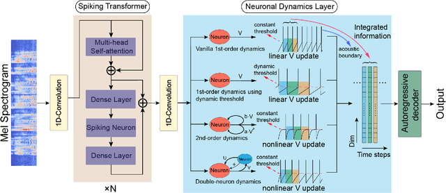 Figure 1 for Complex Dynamic Neurons Improved Spiking Transformer Network for Efficient Automatic Speech Recognition