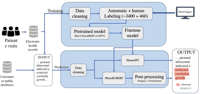 Figure 1 for Enhancing Phenotype Recognition in Clinical Notes Using Large Language Models: PhenoBCBERT and PhenoGPT