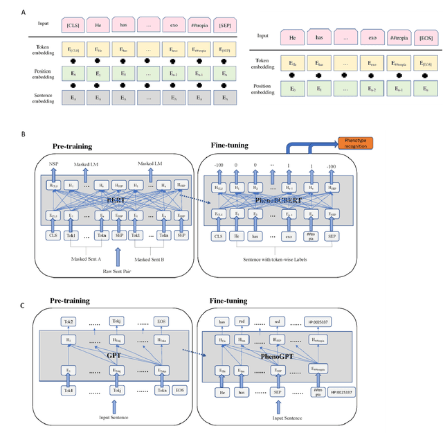 Figure 3 for Enhancing Phenotype Recognition in Clinical Notes Using Large Language Models: PhenoBCBERT and PhenoGPT
