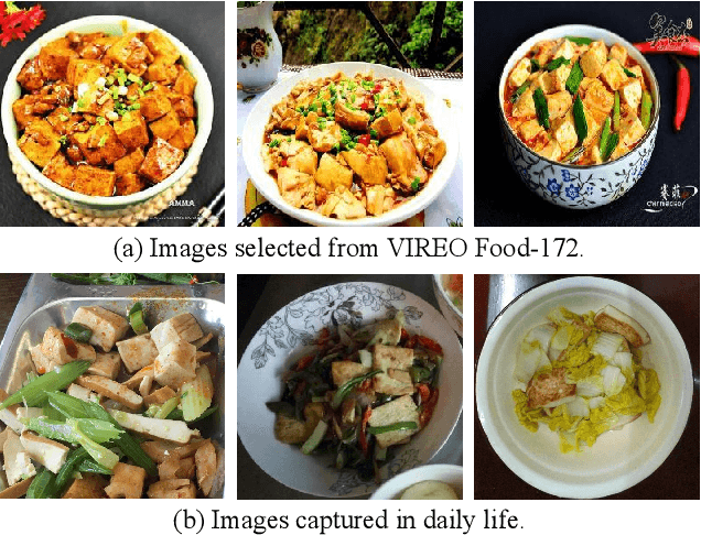 Figure 1 for From Canteen Food to Daily Meals: Generalizing Food Recognition to More Practical Scenarios