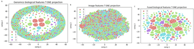 Figure 3 for Deep Neural Networks integrating genomics and histopathological images for predicting stages and survival time-to-event in colon cancer
