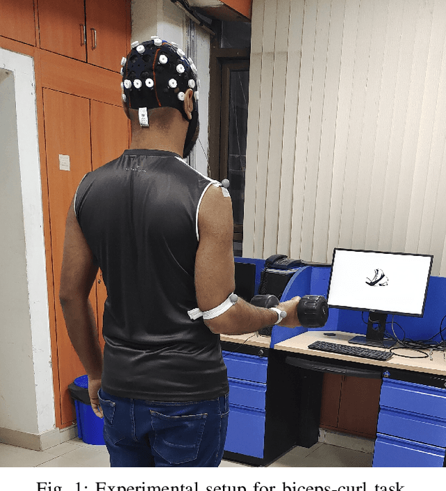 Figure 1 for BiCurNet: Pre-Movement EEG based Neural Decoder for Biceps Curl Trajectory Estimation