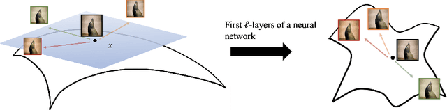 Figure 3 for Neural frames: A Tool for Studying the Tangent Bundles Underlying Image Datasets and How Deep Learning Models Process Them