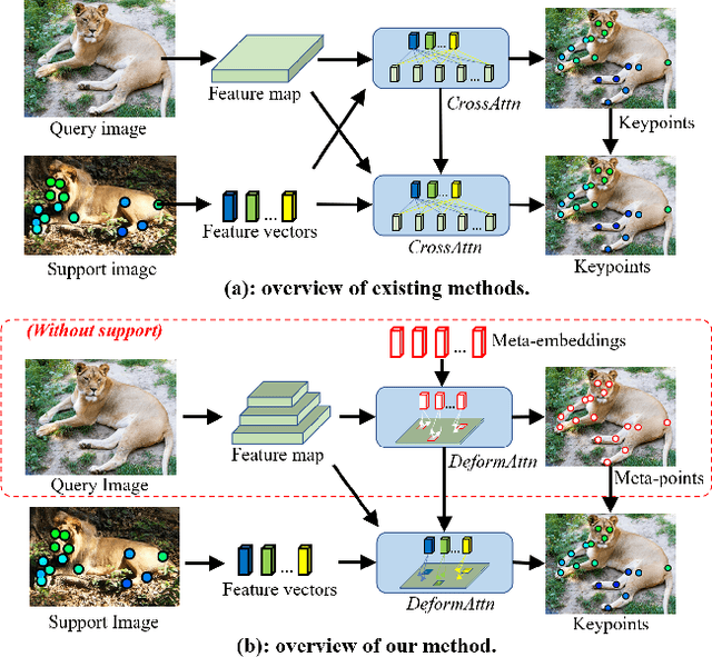 Figure 1 for Meta-Point Learning and Refining for Category-Agnostic Pose Estimation