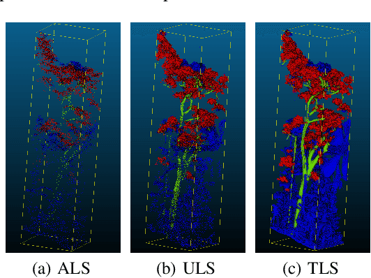 Figure 1 for Semantic segmentation of sparse irregular point clouds for leaf/wood discrimination