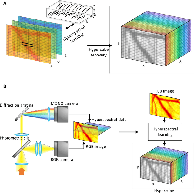 Figure 1 for mHealth hyperspectral learning for instantaneous spatiospectral imaging of hemodynamics