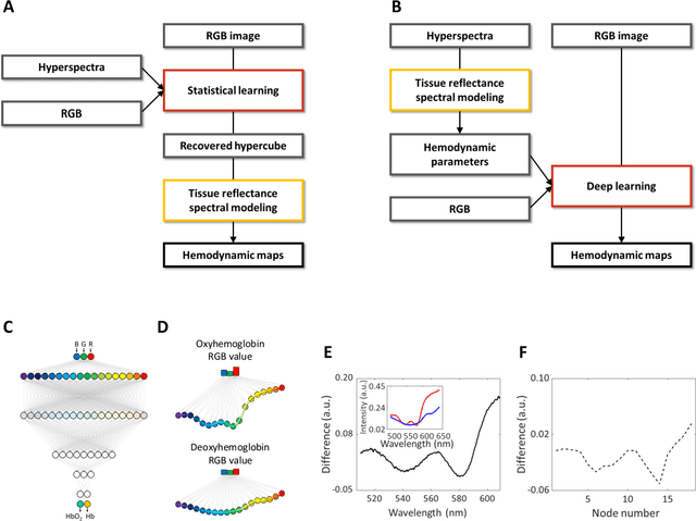 Figure 2 for mHealth hyperspectral learning for instantaneous spatiospectral imaging of hemodynamics