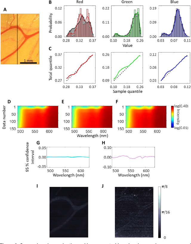 Figure 3 for mHealth hyperspectral learning for instantaneous spatiospectral imaging of hemodynamics