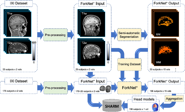 Figure 1 for SHARM: Segmented Head Anatomical Reference Models