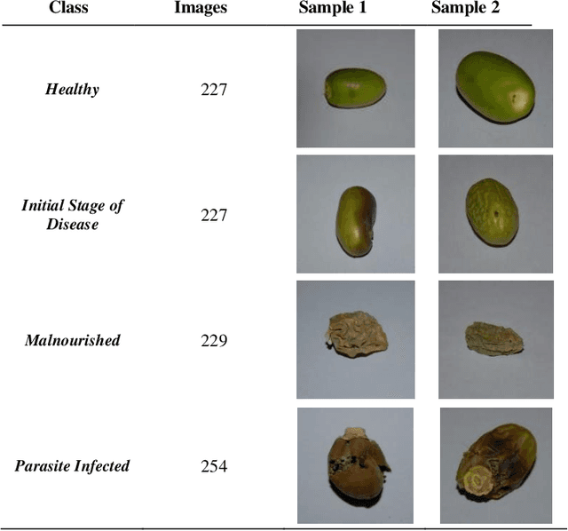 Figure 1 for Dates Fruit Disease Recognition using Machine Learning