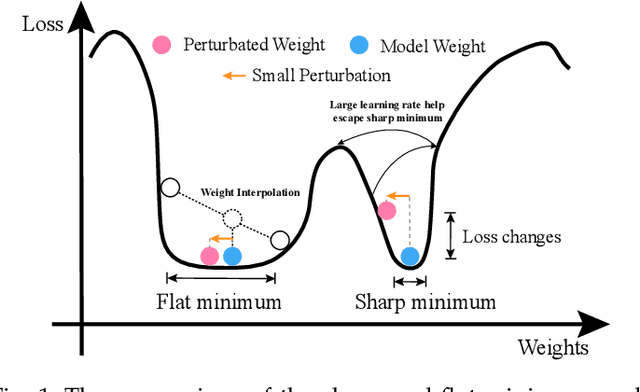 Figure 1 for Exploring Flat Minima for Domain Generalization with Large Learning Rates