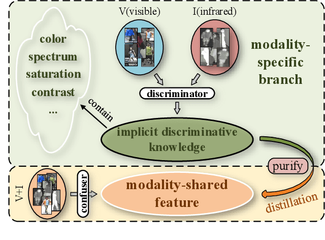 Figure 1 for Implicit Discriminative Knowledge Learning for Visible-Infrared Person Re-Identification