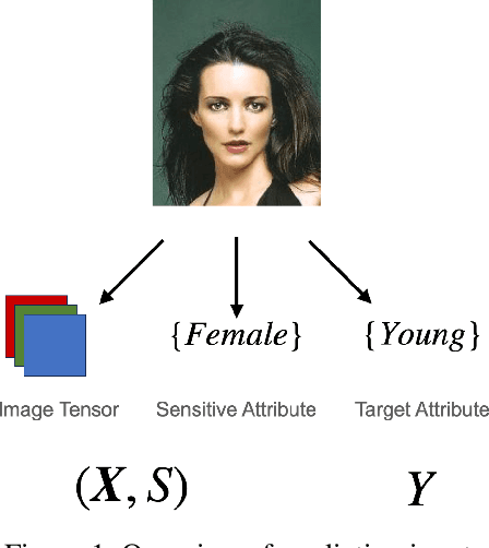 Figure 1 for Addressing Fairness and Explainability in Image Classification Using Optimal Transport