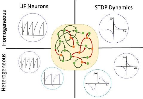 Figure 2 for Heterogeneous Neuronal and Synaptic Dynamics for Spike-Efficient Unsupervised Learning: Theory and Design Principles