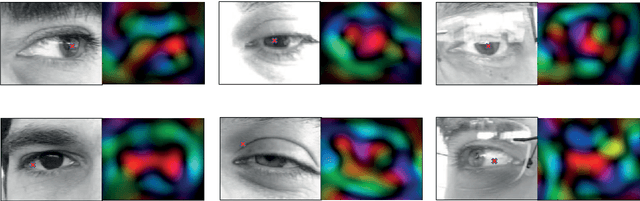 Figure 2 for Near-infrared and visible-light periocular recognition with Gabor features using frequency-adaptive automatic eye detection