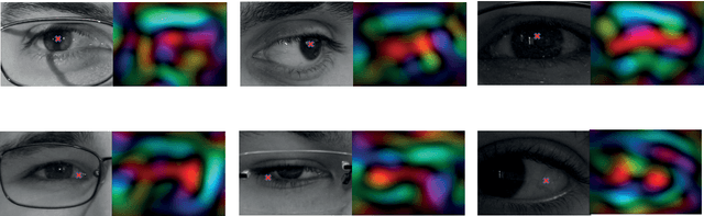 Figure 3 for Near-infrared and visible-light periocular recognition with Gabor features using frequency-adaptive automatic eye detection