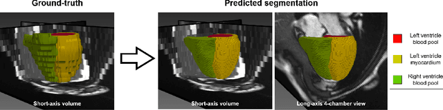 Figure 1 for NISF: Neural Implicit Segmentation Functions