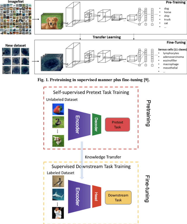 Figure 1 for Remote Sensing Scene Classification with Masked Image Modeling (MIM)