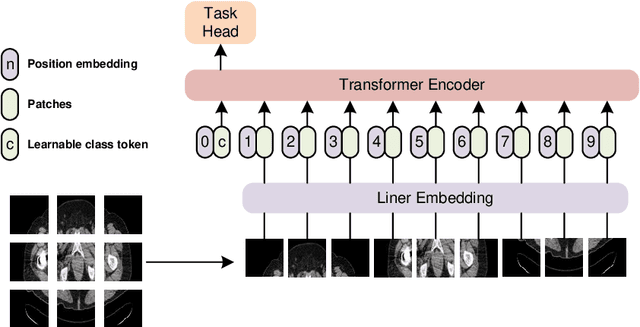 Figure 3 for HGT: A Hierarchical GCN-Based Transformer for Multimodal Periprosthetic Joint Infection Diagnosis Using CT Images and Text