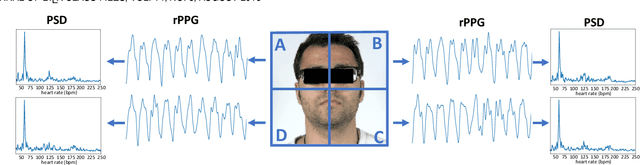 Figure 1 for Contrast-Phys+: Unsupervised and Weakly-supervised Video-based Remote Physiological Measurement via Spatiotemporal Contrast