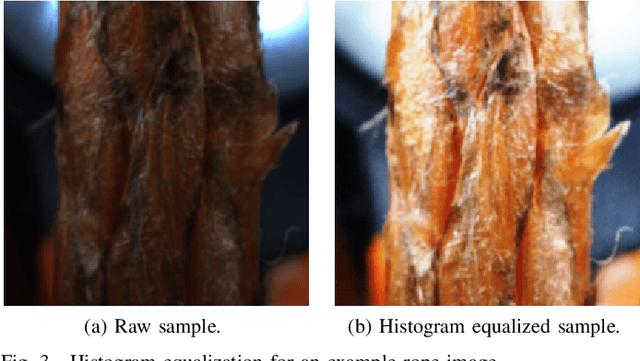 Figure 3 for Real-Time Damage Detection in Fiber Lifting Ropes Using Convolutional Neural Networks