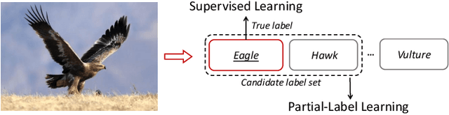 Figure 1 for Towards Effective Visual Representations for Partial-Label Learning