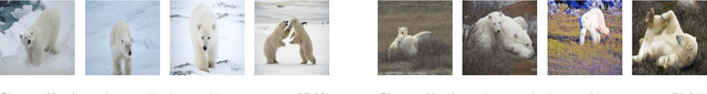 Figure 1 for Do CLIPs Always Generalize Better than ImageNet Models?